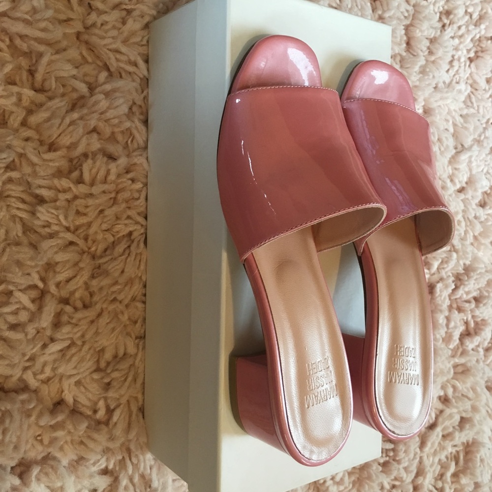Maryam Nassir Slides